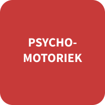 Psychomotoriek